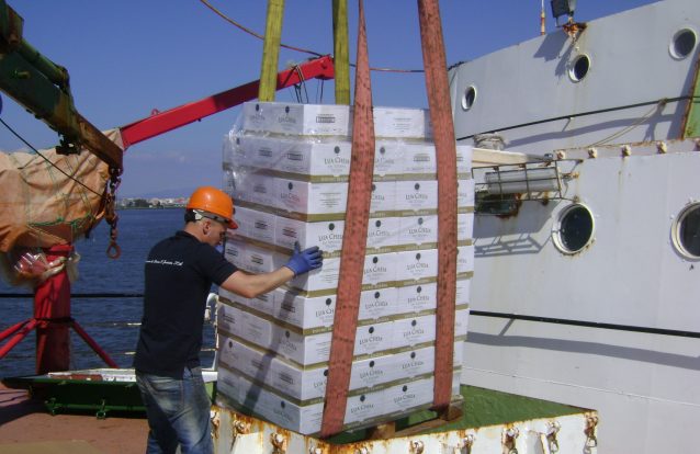 Doc Douro estagia em bacalhoeiro, vai à Terra Nova e volta