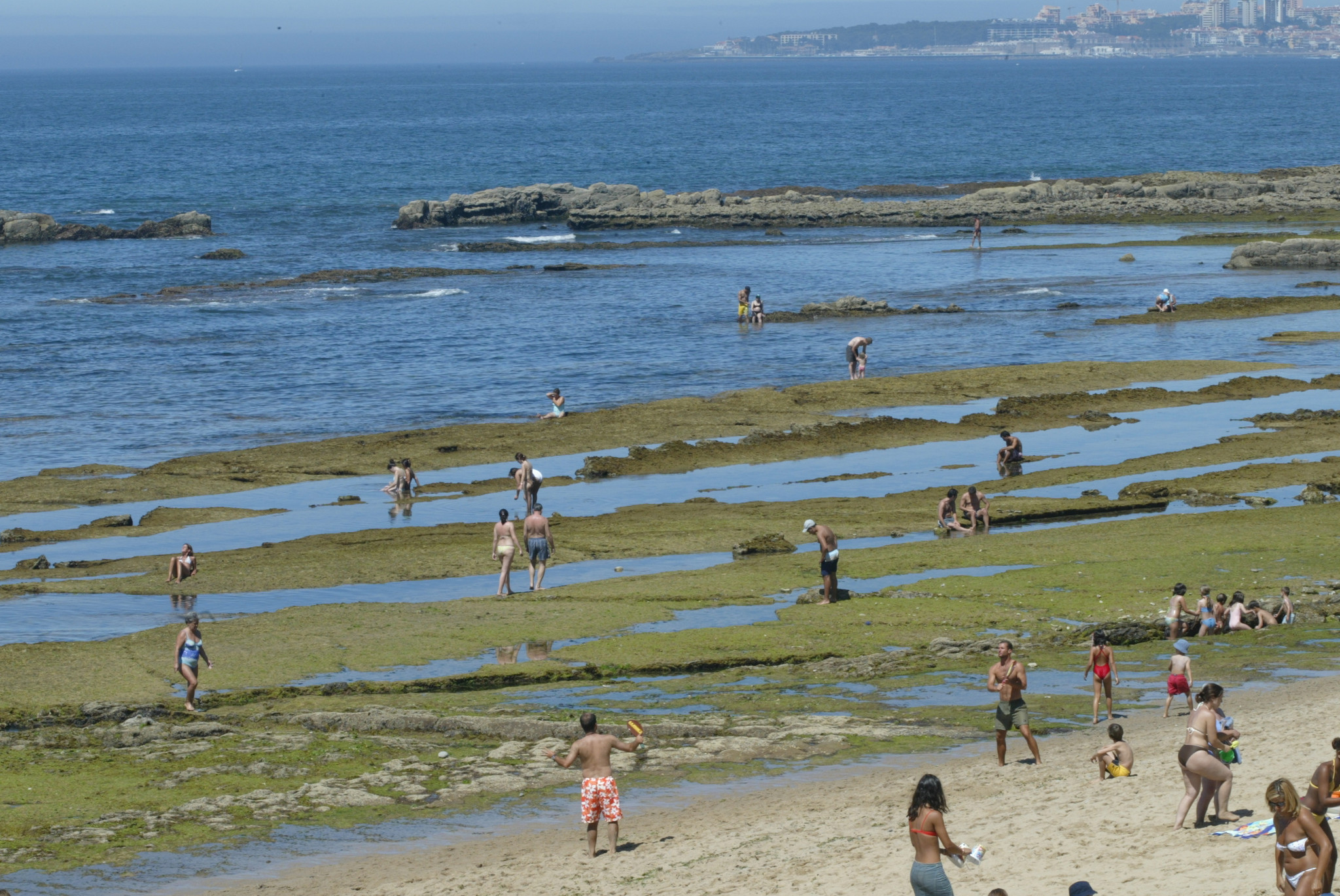 Visão | E agora a praia das Avencas é uma área marinha protegida a sério