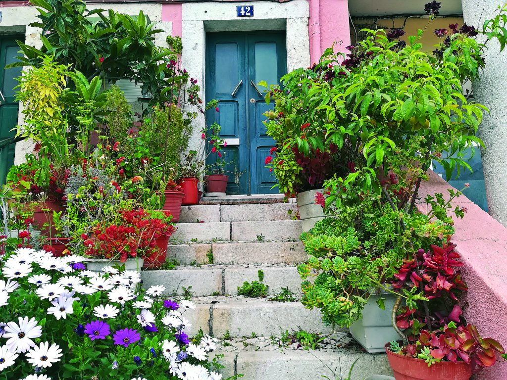 E o jardim ali à porta