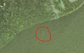 E o melhor avistamento do monstro do Lago Ness de 2014 foi...
