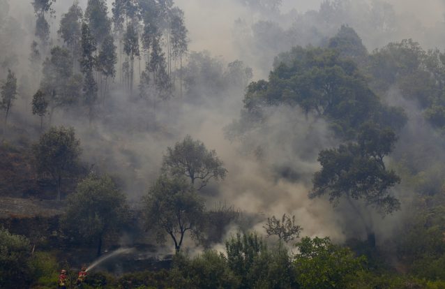 E que tal aprender  com os japoneses?