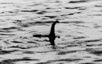 E se o monstro do Lago Ness não passar de um peixe-gato?