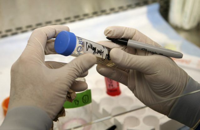 Empresa transferiu células estaminais para outra e só depois informou os pais que vai fechar atividade em Portugal