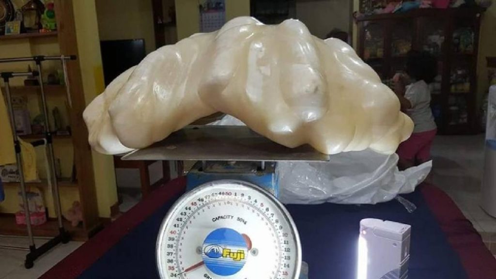 Encontrou pérola de 100 milhões e guardou-a durante 10 anos debaixo da cama