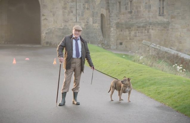 Esta cadela foi rejeitada mais de 18 mil vezes mas agora contracena com Anthony Hopkins