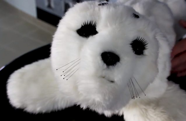 Esta é Amália, uma foca bebé que vai ajudar a melhorar vidas. É um robô, mas nem parece