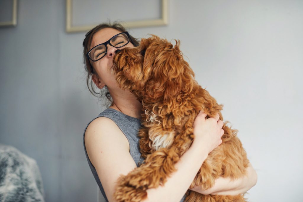 Estas são as últimas conclusões da ciência sobre os cães