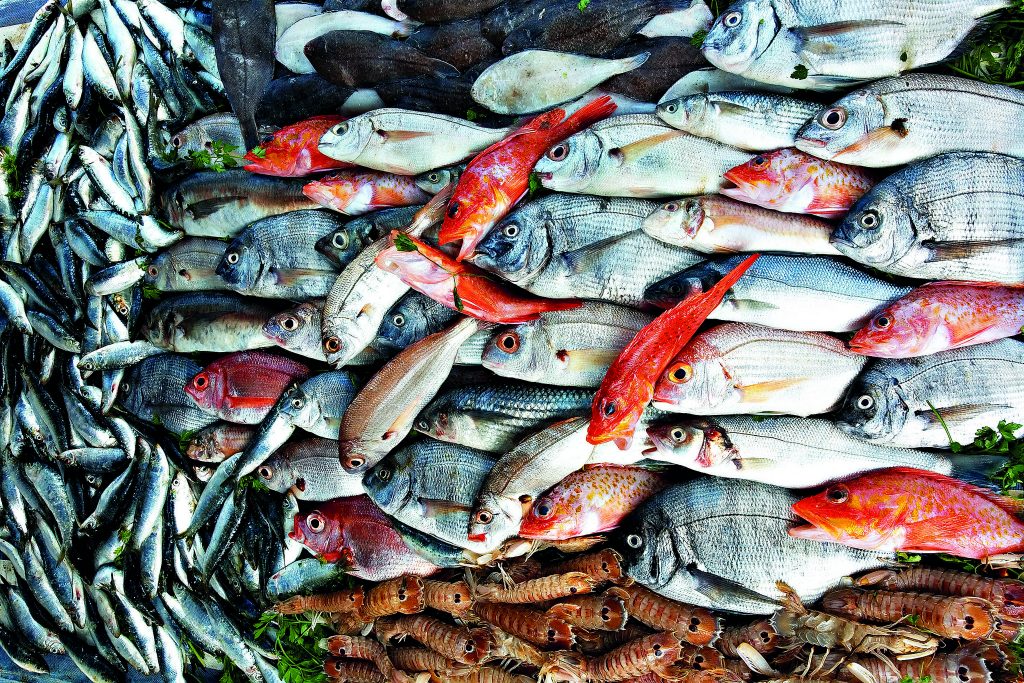 Estranho: num País de tanto peixe e sal, os nossos miúdos têm falta de iodo