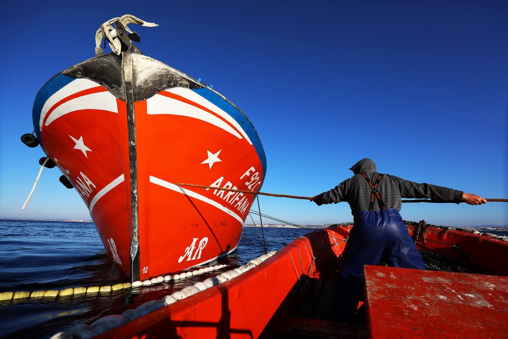 "Faina Marítima": O olhar de cinco fotógrafos sobre a pesca da sardinha em exposição no Algarve