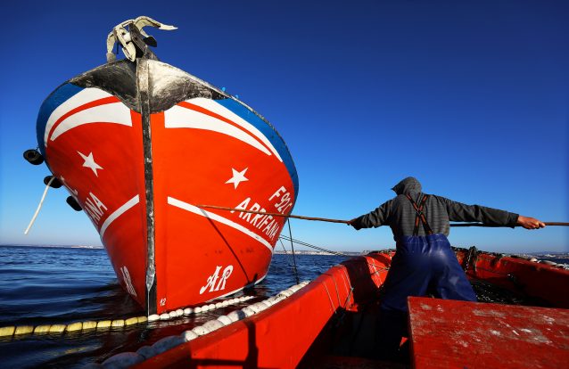"Faina Marítima": O olhar de cinco fotógrafos sobre a pesca da sardinha em exposição no Algarve