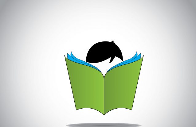 Ficha de atividade de Português, 3º Ciclo