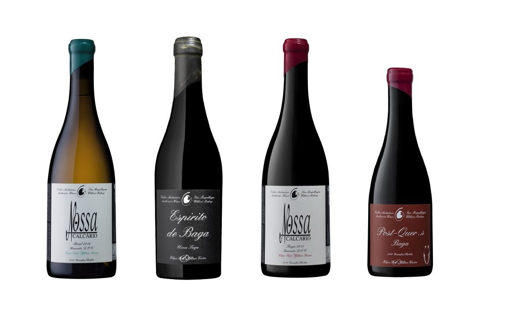 Filipa Pato & William Wouters: Vinhos sem maquilhagem