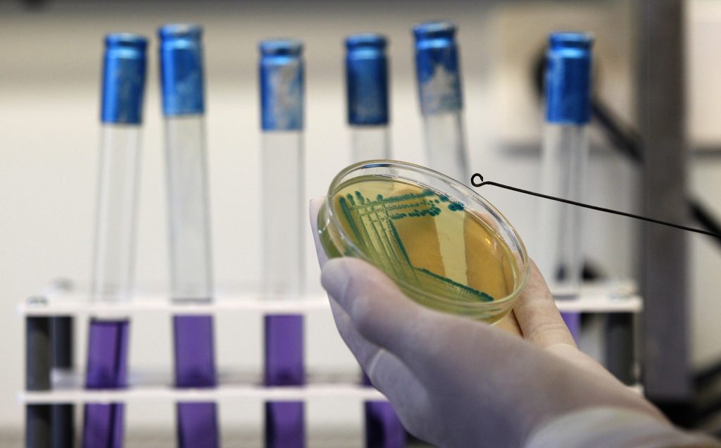 Gene que torna bactérias imunes pode ser "o fim da linha para os antibióticos"