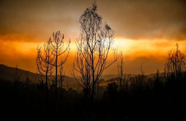 Governo nega ter escondido relatório da auditoria interna da Proteção Civil que diz que houve documentos apagados