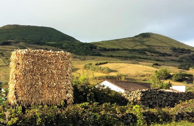 Graciosa, a ilha branca
