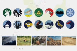 Guia para conhecer os nossos parques naturais
