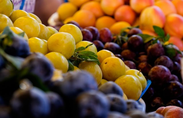 Há 60 mil euros para financiar projetos de empreendedorismo frutícola
