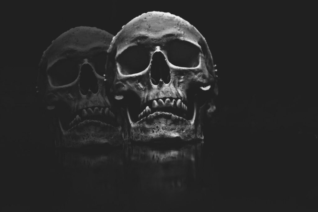 Há caveiras, esqueletos e outras partes do corpo humano à venda no Instagram