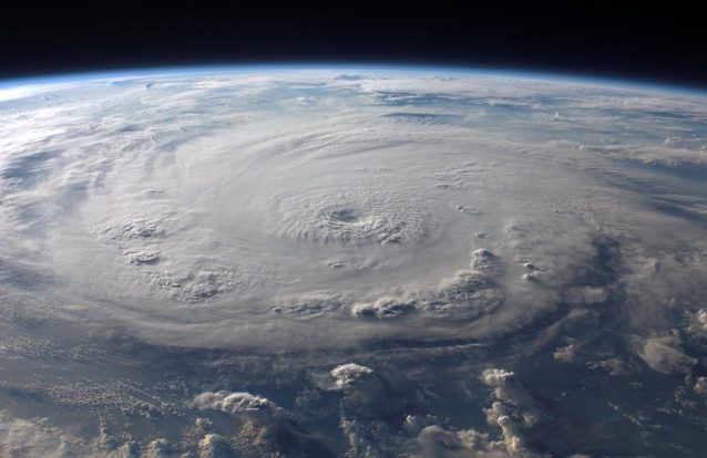 Há vírus a cair do céu