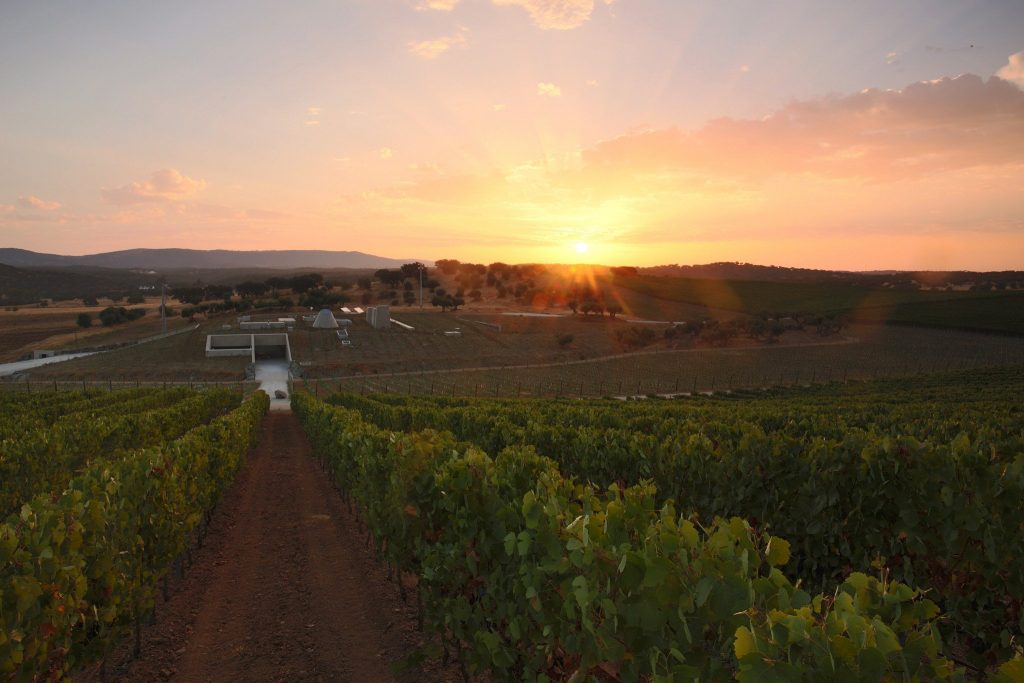 Herdade do Freixo, a adega escondida 1