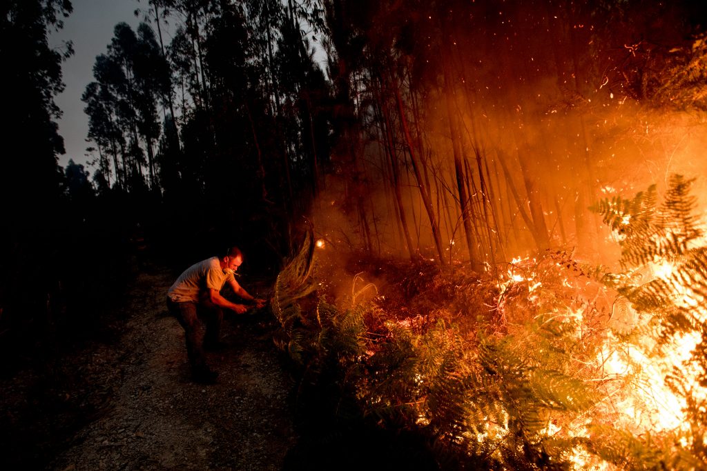 Incêndios: As queimadas continuam
