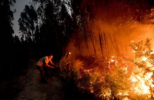 Incêndios: As queimadas continuam