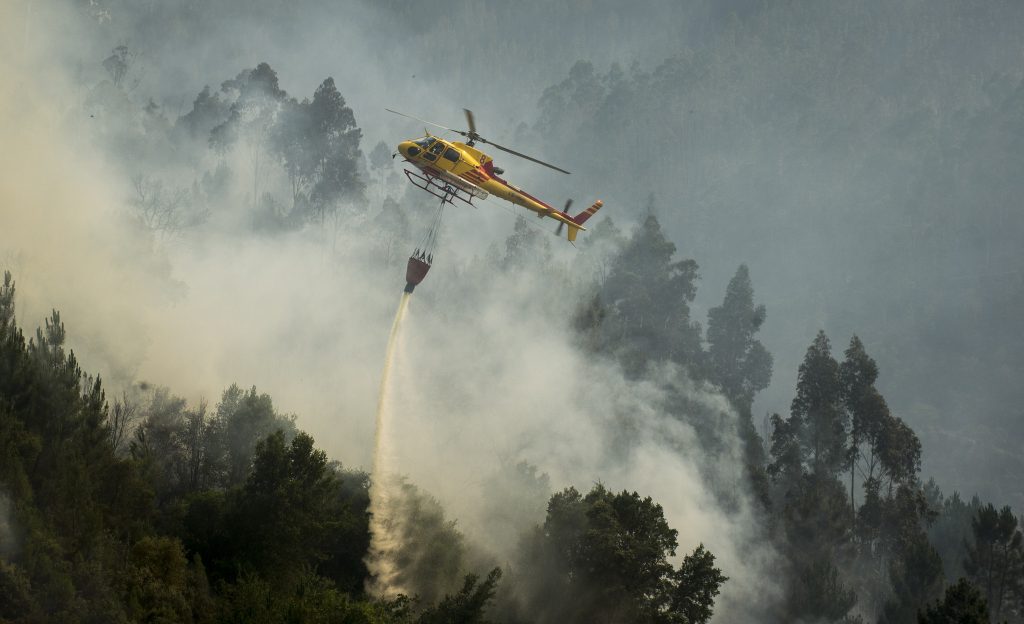 Incêndios: Governo reforça combate com mais 17 meios aéreos até ao fim do mês