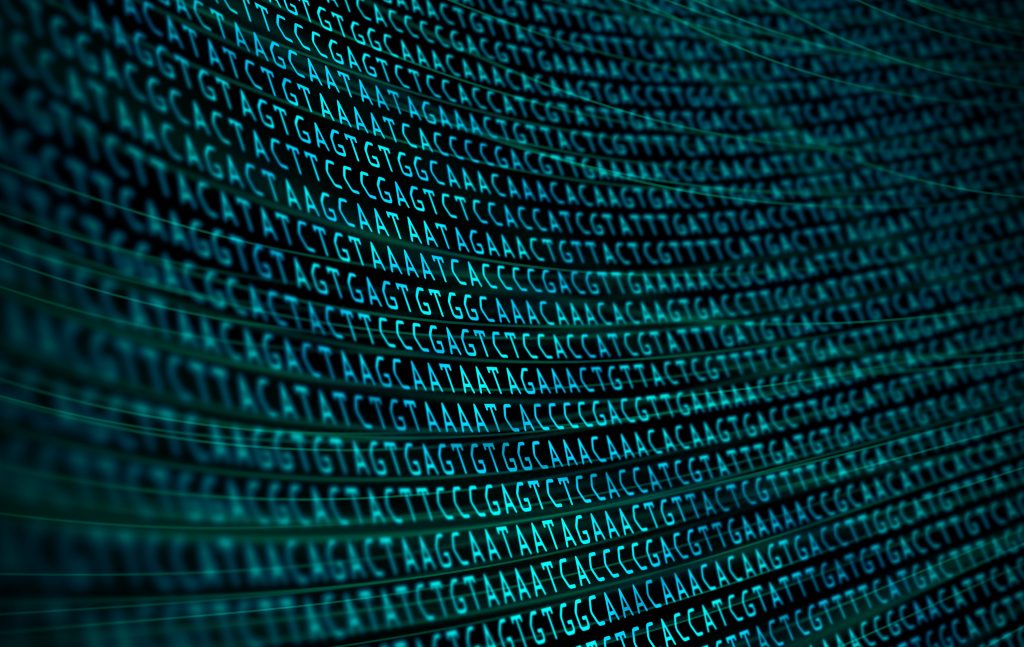 Inteligência artificial identifica antepassado humano que até aqui só se suspeitava ter existido