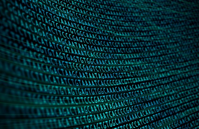 Inteligência artificial identifica antepassado humano que até aqui só se suspeitava ter existido