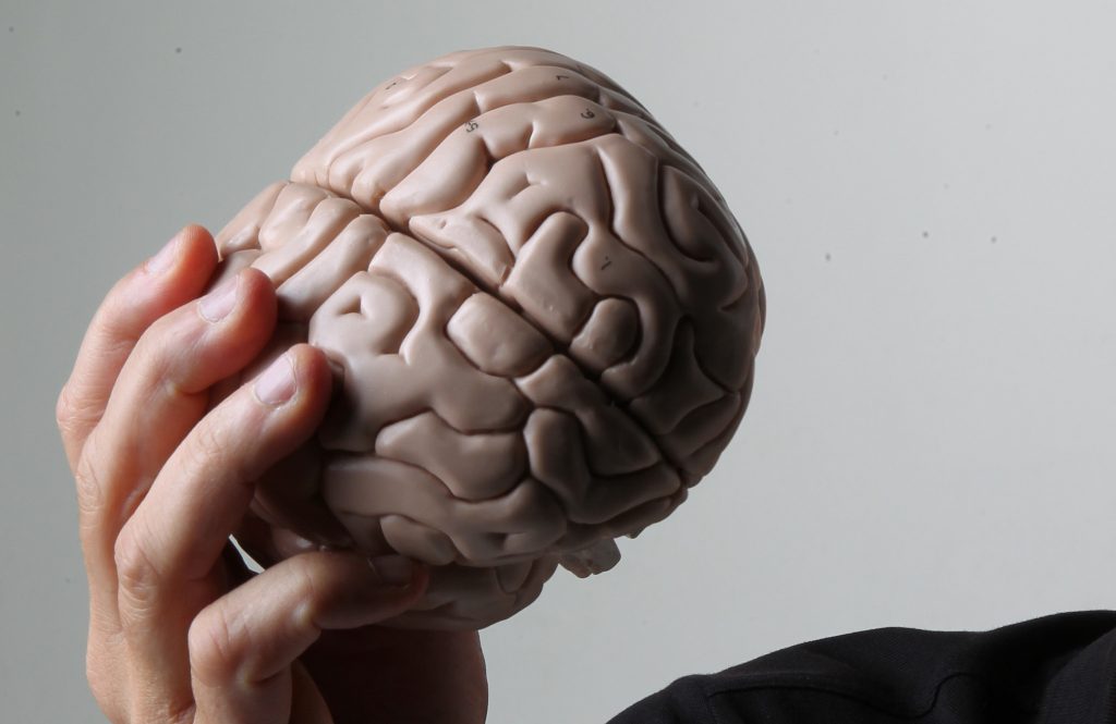 Já há um ginásio para o cérebro