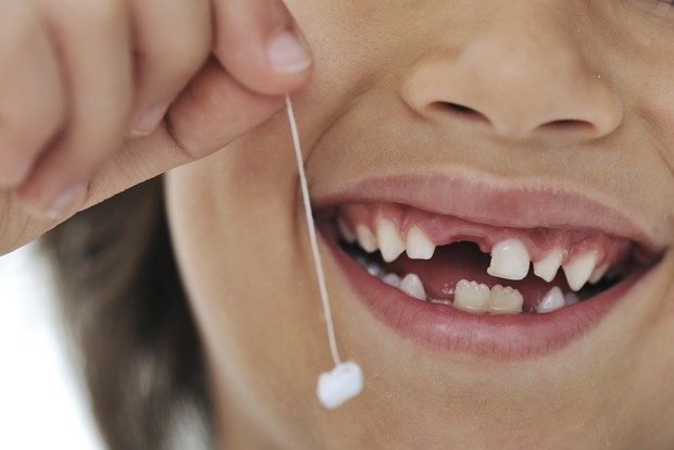 Já podemos preservar células estaminais dos dentes
