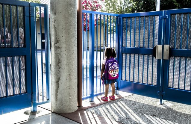 KinderHarvard: Do berço à universidade