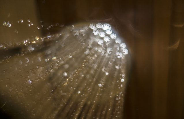 Lavando o neanderthal que há em mim