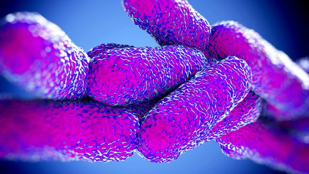 Legionella: Hospital Cuf Descobertas está a contactar 800 doentes
