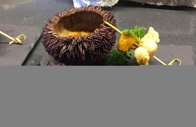 Leite creme de ouriço do mar, por Pedro Rezende