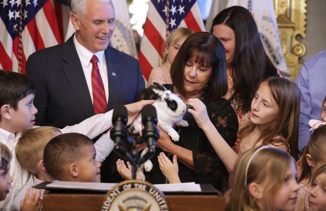 Marlon Bundo, o coelho mais famoso da América