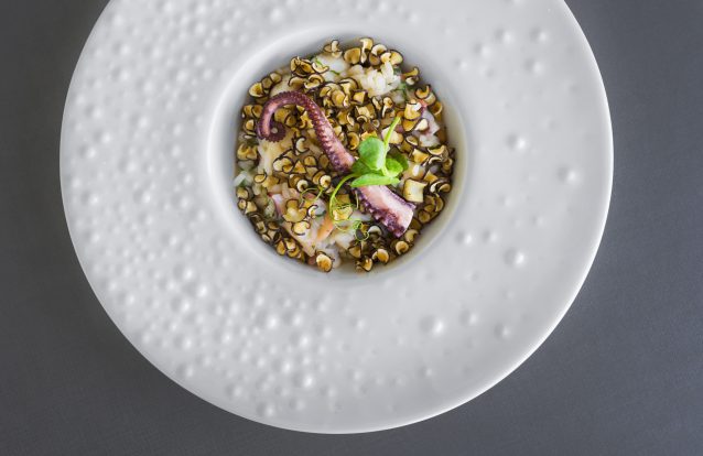 Midori, um japonês que soltou as amarras