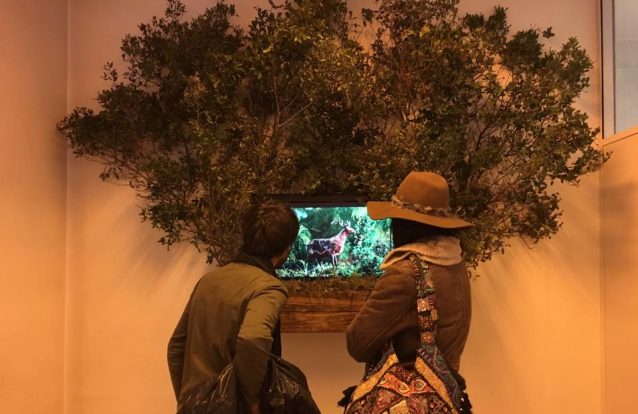 mOstra: há arte contemporânea à beira-rio