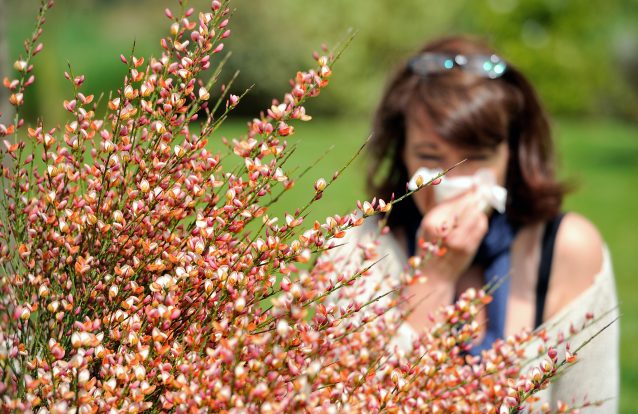 Mostre um cartão vermelho às alergias!