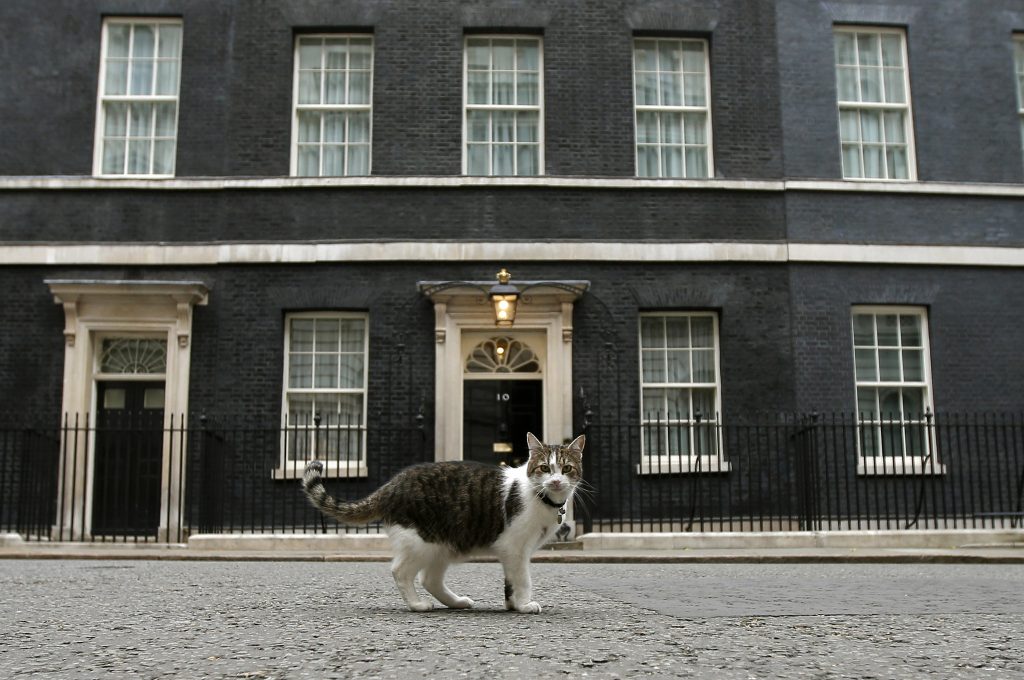 Muda-se o primeiro-ministro, mas não se muda o gato