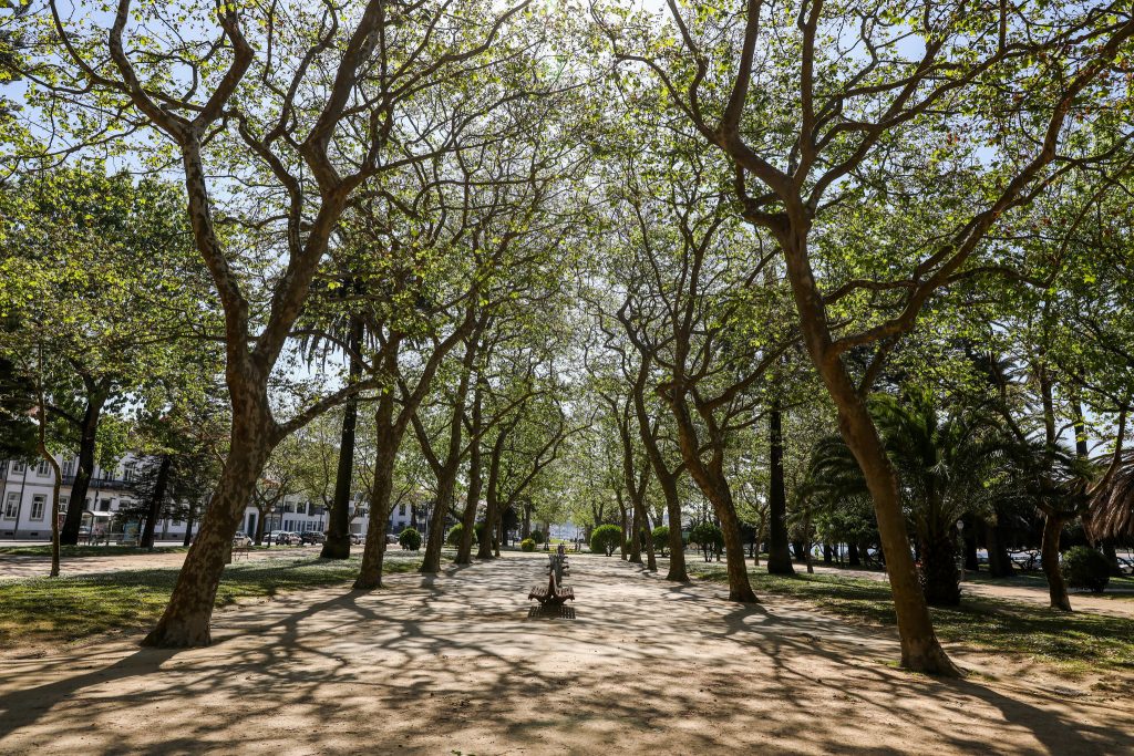 Na Foz do Porto a tradição ainda é o que era (e ainda bem!)