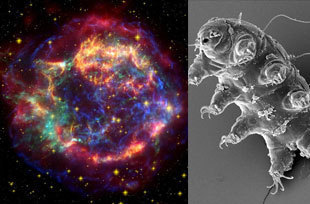 NASA revela no Twitter fotografias inéditas do Universo 6