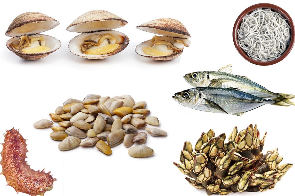 Nem tudo o que vem à rede é peixe