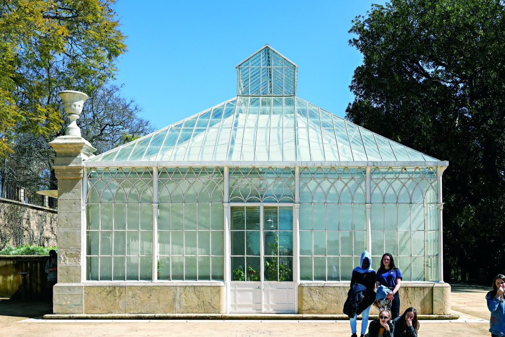 No renovado Jardim Botânico de Coimbra, há nenúfares, fetos e pau-esteira