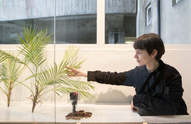 No Silo Auto, na Baixa do Porto, há jardins verticais transformados em arte