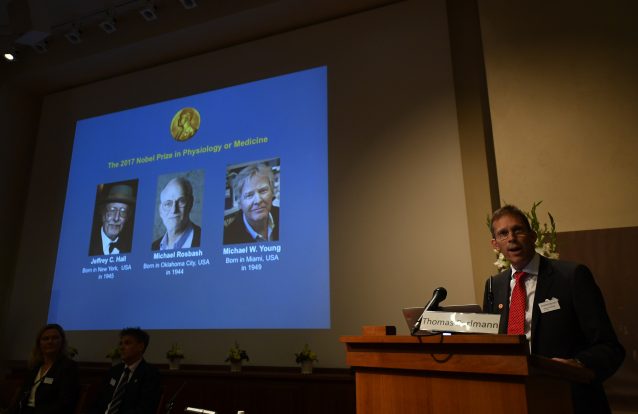 Nobel da Medicina distingue descoberta sobre relógio biológico