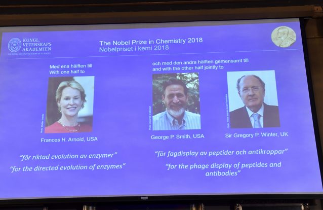 Nobel da Química para proteínas "que resolvem os problemas químicos da humanidade"
