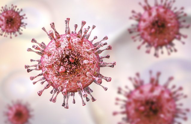 Nova investigação relaciona o vírus do herpes com a doença de Alzheimer