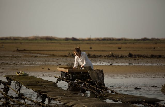 O Algarve é a região onde se trabalha mais horas em Portugal