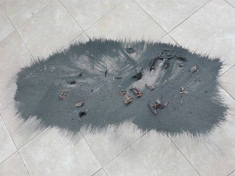 O ar em Paio Pires tem tantas limalhas que se apanham com um íman